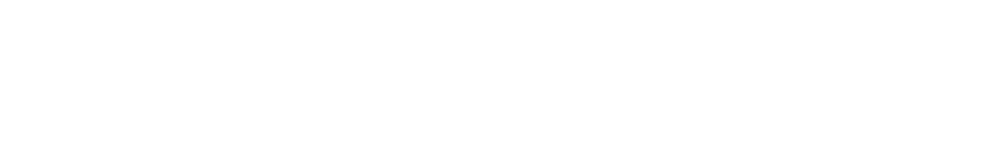 IPPTech Logo